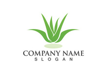 Aloe vera logo vector ilustration template