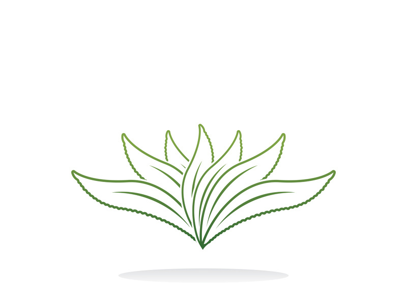 Aloe Vera logo icon design symbol beauty skin care