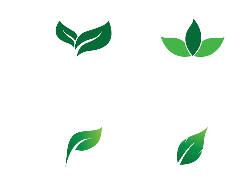 Natural green leaf logo