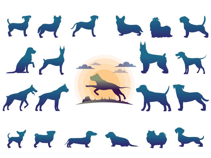 Animals : Silhouette Collection With Logo