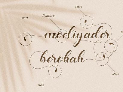 Dominica Calligraphy // A Modern Calligraphy Script Font Duo
