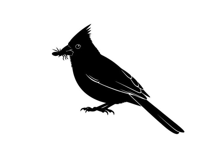 Silhouette of a cardinal bird with a bug in its beak