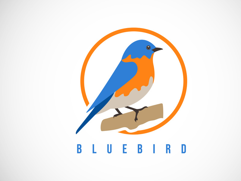 Bluebird in a circle. Bluebird logo design template vector illustration