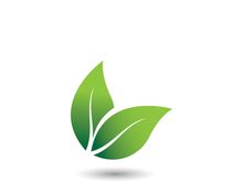 Logos of green tree leaf ecology nature element vector