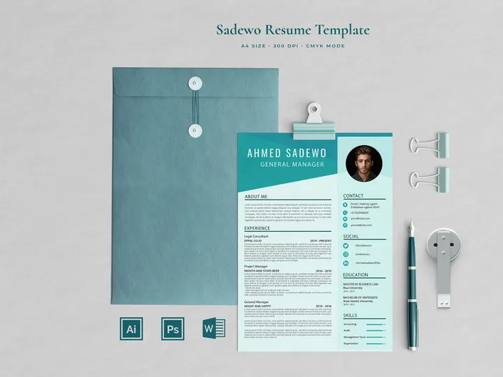 Professional Resume Sadewo