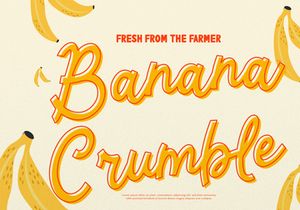 Tontecera | Retro Script Font