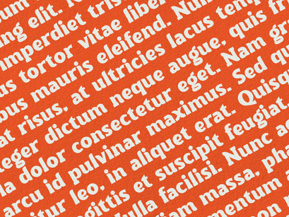 Torque - Serif Font