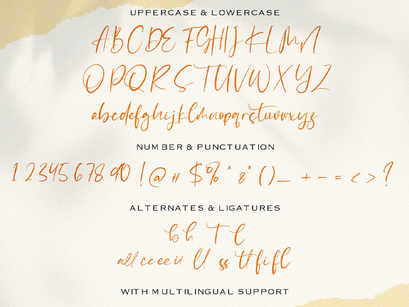 Catthy Wellingten - Modern Script Font