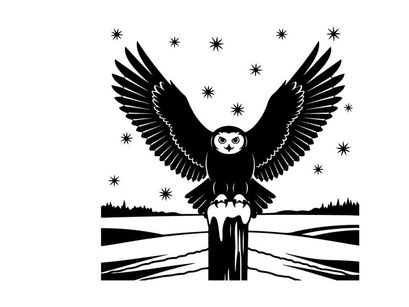 Silhouette of an owl perched on a post under starry night sky