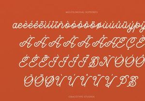 Caniora Florents | Monoline Script Font