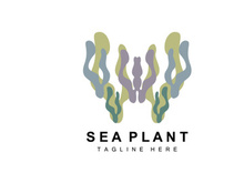 Seaweed Logo, Sea Plants Vector Design, Grocery And Nature Protection