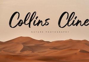 Balletic - Brush Script Font