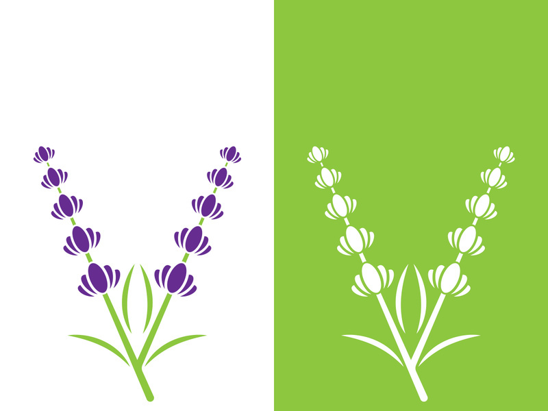 Fresh lavender flower logo vector flat design