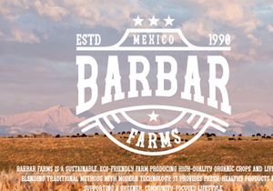 Western Christmas - Bold Slab Serif