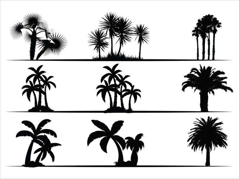 Palm Tree Collection and Silhouettes