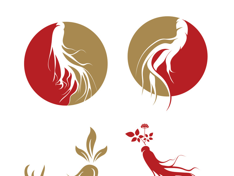 Ginseng logo design template and symbol icon vector illustration