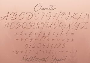 Bellamy Signature - Handwritten Font