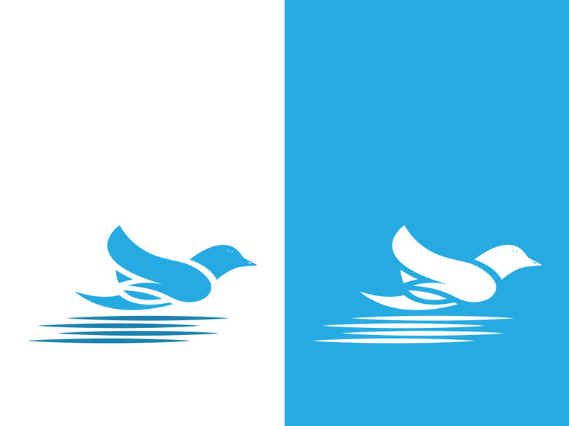 Dove bird logo vector design illustration