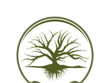 Root Leaf Family Tree of Life Oak Banyan Maple Stamp Seal Emblem Label logo design vector