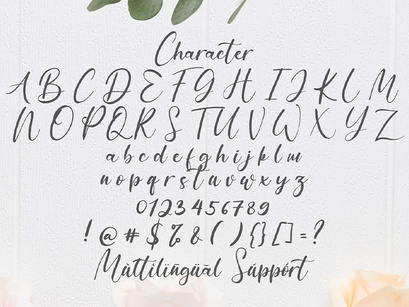 Anythings - Modern Calligraphy Font by Stringlabscreative ~ EpicPxls