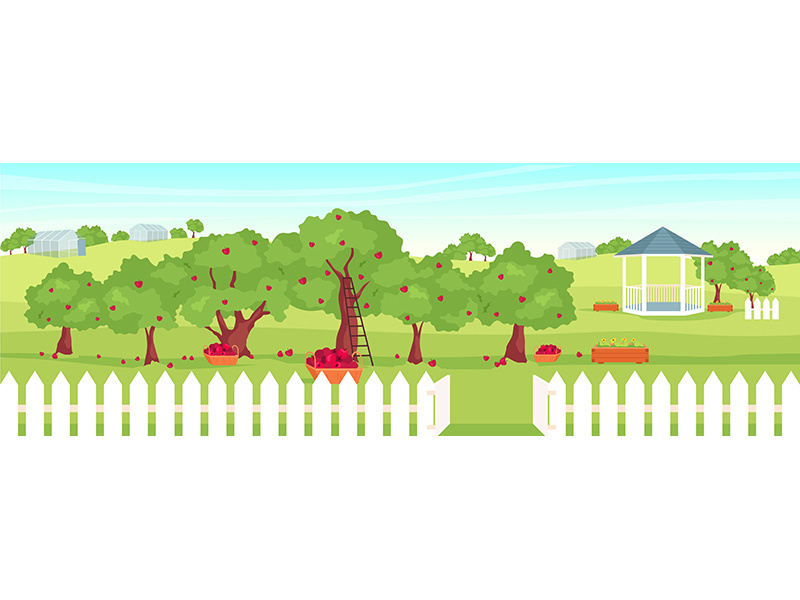 Apple orchard flat color vector illustration