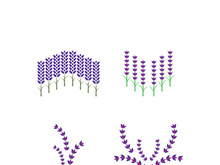 Fresh lavender flower logo vector flat design