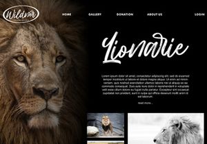 Hillbear - Handbrush Script Font