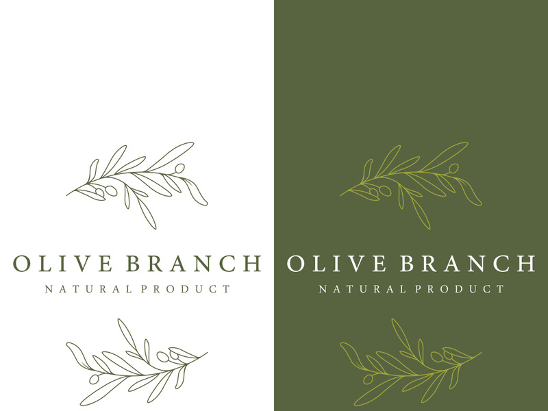 Hand drawn Botanical logo,leaf and natural olive fruit .Herbal, olive oil,cosmetic or beauty.