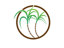 Sugarcane logo vectcr