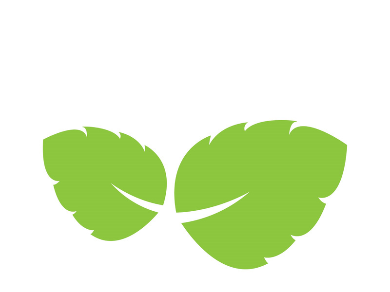Leaf logo vector icon design template