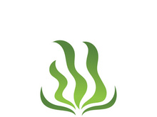 seaweed sea of nature logo vector illustration design