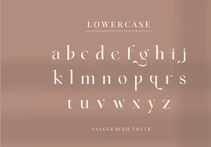 Vanger _ modern serif font