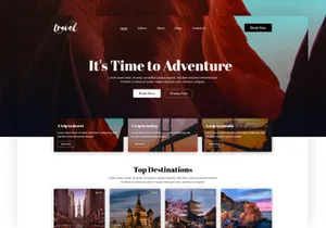 Traveling Website