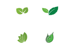 natural leaf logo