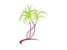 Sugarcane logo vectcr