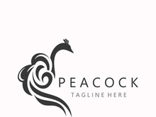 Peacock logo line art elegant concept icon design template flat vector illustration