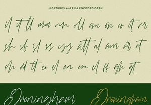 Williamson - Luxury Signature Font