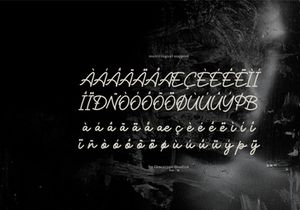 Martadinata | Bold Signature Font