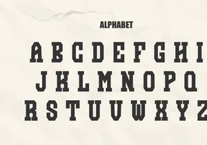 Funky Modern - Vintage Slab Serif