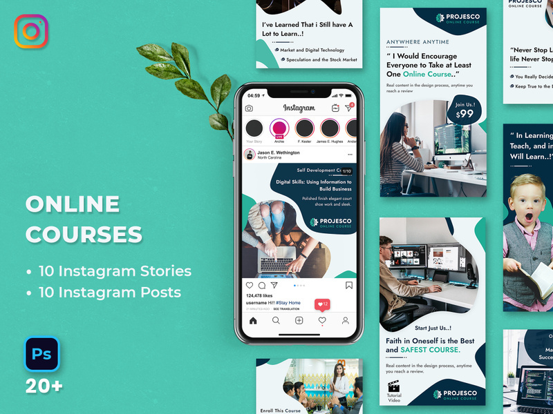 Online Course Instagram Stories & Posts