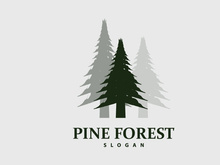 Forest Logo, Vector Forest Wood With Pine Trees Design