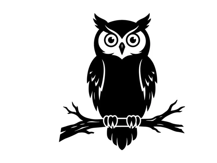 Stylized black and white owl illustration on branch for nature design