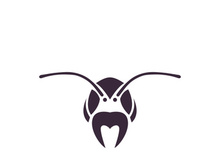 ant head logo