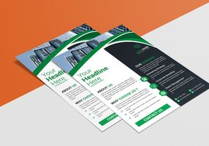 Professional Flyer