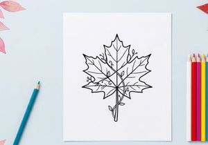 Detailed illustration of a maple leaf with intricate line art. Artistic botanical drawing for nature and design projects.