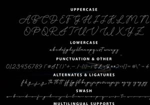 Better Days - Modern Signature Font