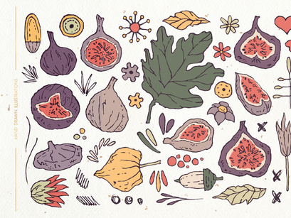 The Sweetest Fig Patterns and Illustrations