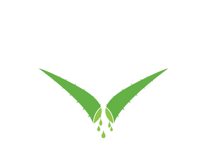 Aloe Vera logo icon design symbol beauty skin care