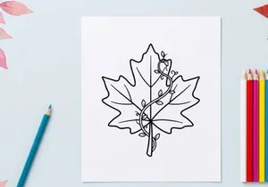 Stylized maple leaf illustration for nature and design projects. Artistic botanical drawing for eco-themed visuals.