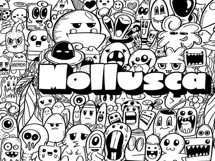 Mollusca Font Trio | Doodle Font